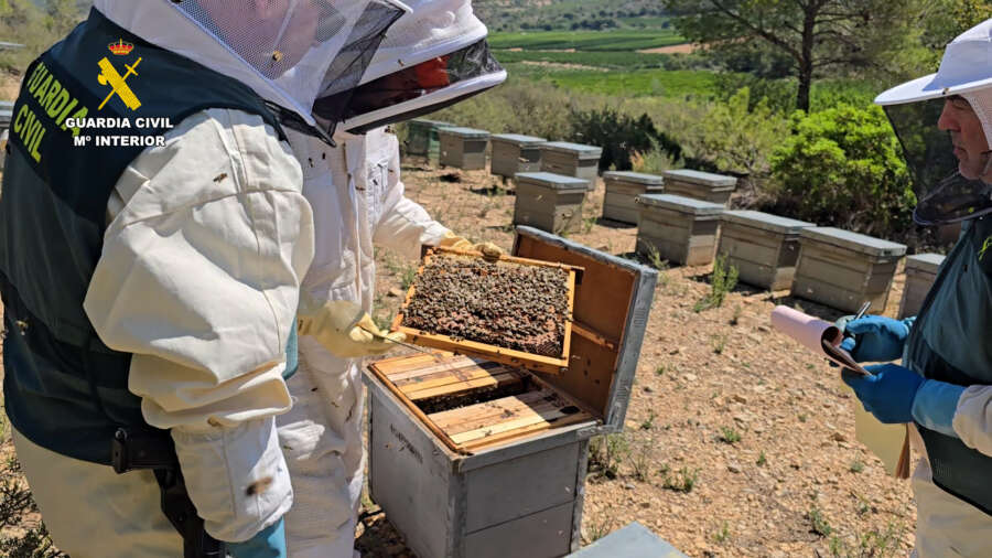 Investigadas 11 personas por vender miel ecológica con pesticidas procedentes de China