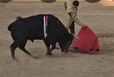 Extraordinario juego de los Utreros de Pincha en Lodosa