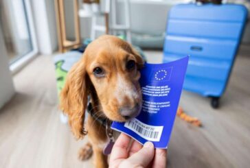 Las mascotas necesitan pasaporte para viajar por la UE