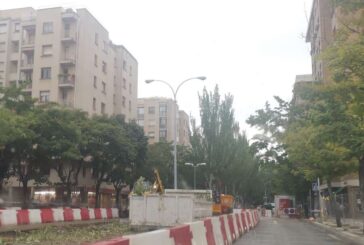 UPN denuncia la tala de árboles de Asirón ahora en Iturrama