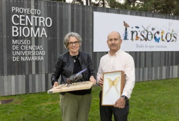 El Museo de Ciencias Universidad de Navarra inaugura la exposición “Insectos. Todo lo que cuentan”