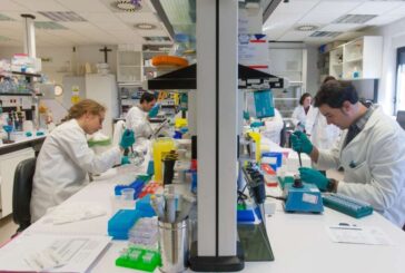 La Universidad de Navarra, líder en internacionalización en España, según la Fundación CYD