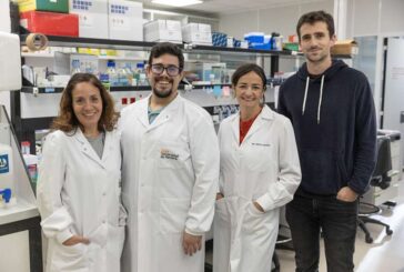 Cima: Un regulador de la proteína p53 podría abrir nuevas vías terapéuticas para el cáncer