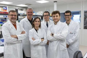CIMA: Generan un modelo animal clave para investigar enfermedades raras
