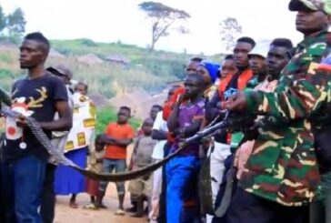 RD Congo: Al menos 600 milicianos deponen las armas en Ituri