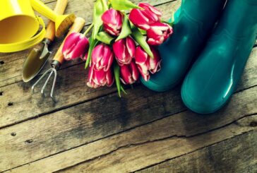La UE exportó bulbos de flores por valor de 98,9 millones de euros