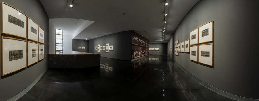 gallery