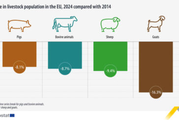 El ganado sigue disminuyendo en 2024 en Europa