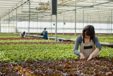 Cuatro empresas navarras reciben 2,3 millones de euros dentro de una nueva convocatoria del Perte Agro