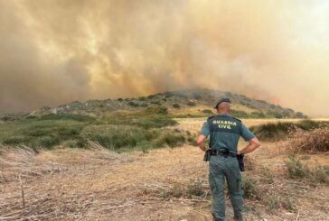 Incendio en Añorbe, Navarra, cerca de la ermita Santa María de Eunate