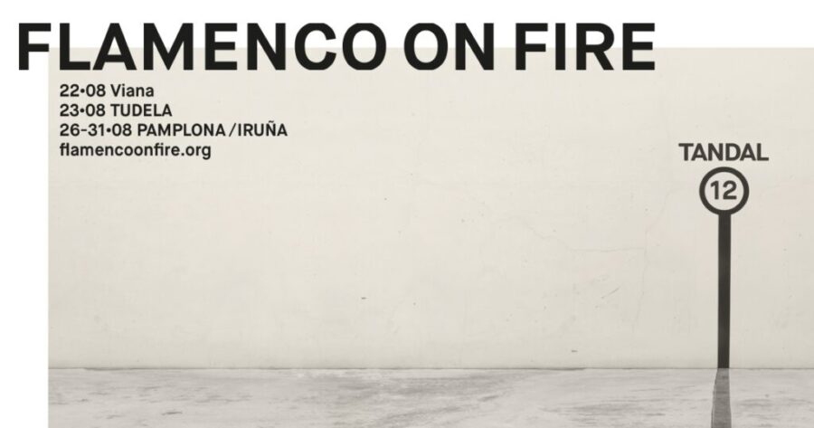 UPN logra el respaldo unánime a una declaración de reconocimiento y apoyo al festival Flamenco On Fire
