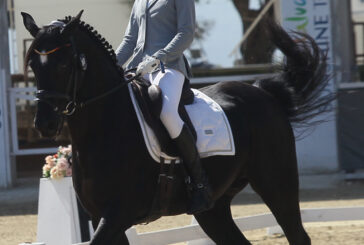 La estellesa Ángela Hermoso de Mendoza convocada para el Grupo Internacional de Doma