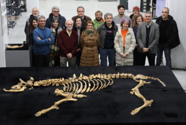 Hallado un esqueleto de bisonte de hace 4.000 años en Urbasa, Navarra