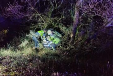 Muere un hombre tras salirse de la vía en. Allín, Navarra