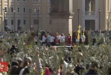 Miles de peregrinos con palmas y ramos de olivo en el Domingo de Ramos