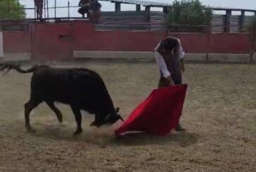 Marco, Marín y Hernandez tientan en la ganadería Ustarroz
