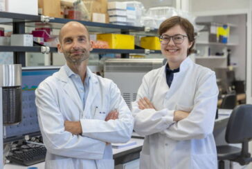 Un estudio molecular descarta el papel de células inmaduras en la resistencia al tratamiento oncológico