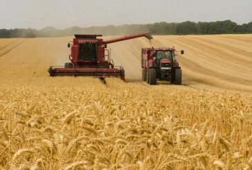 Desarrollo Rural destina 12 millones a 271 personas beneficiarias para favorecer inversiones en sus explotaciones agrarias