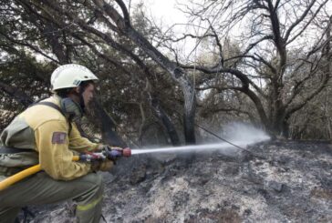 El Servicio de Bomberos ha realizado 354 intervenciones por incendios de vegetación