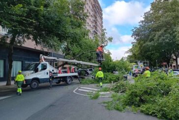 La tormenta del jueves provoca la caída de dos árboles, en el Primer Ensanche y en Mendillorri, sin causar daños personales