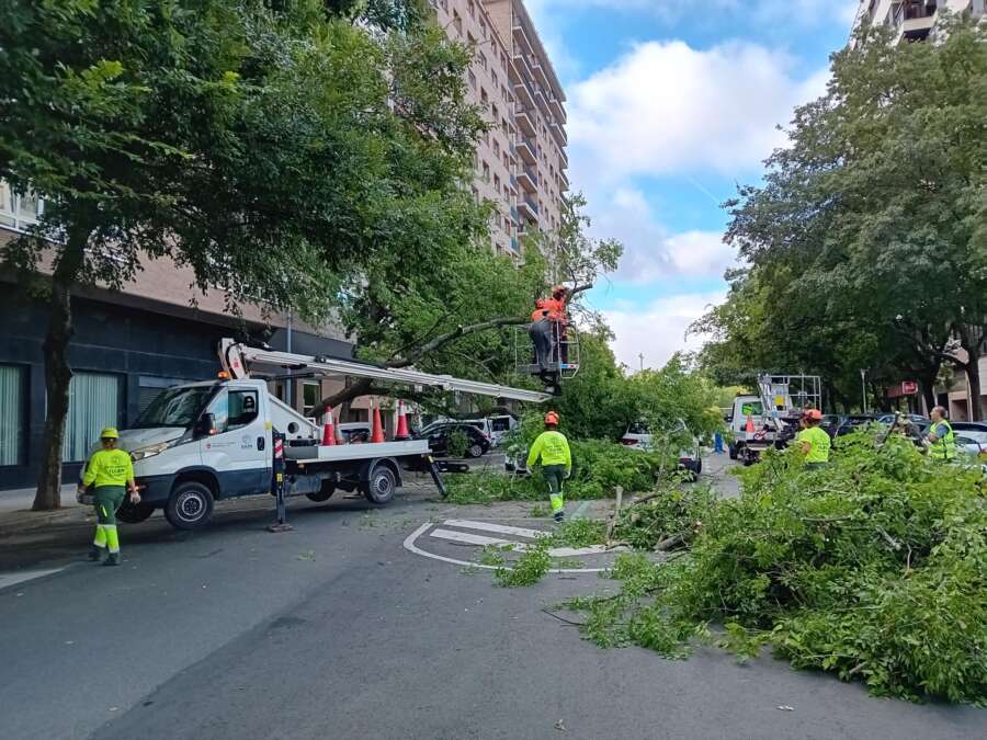 La tormenta del jueves provoca la caída de dos árboles, en el Primer Ensanche y en Mendillorri, sin causar daños personales