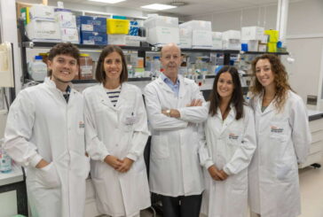 Identifican cambios en el entorno de la médula ósea que podrían abrir nuevas vías para tratar el mieloma múltiple