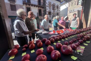 Los concursos de Mendigorria y Santesteban reúnen 72 muestras y premian la diversidad del tomate navarro