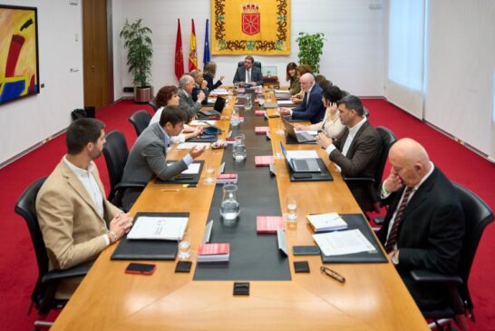 Decaen tres propuestas de declaración institucional por falta de consenso en torno a los actos de violencia con motivo de la visita de Vito Quiles a Pamplona