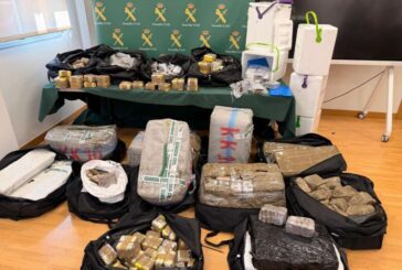Intervenidos 478 kilos de hachís ocultos en un camión en la AP-15 en Navarra