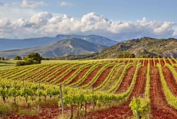 UCAN impulsa La Unánime, un proyecto para dar valor y visibilidad al producto cooperativo navarro