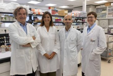 Las células CAR-T podrían anticiparse a la recaída del mieloma múltiple