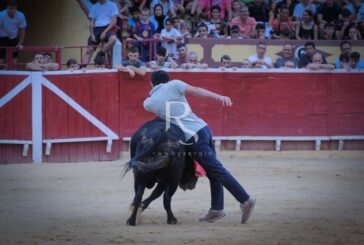 Nabil y Picador, toreo del bueno en Lodosa
