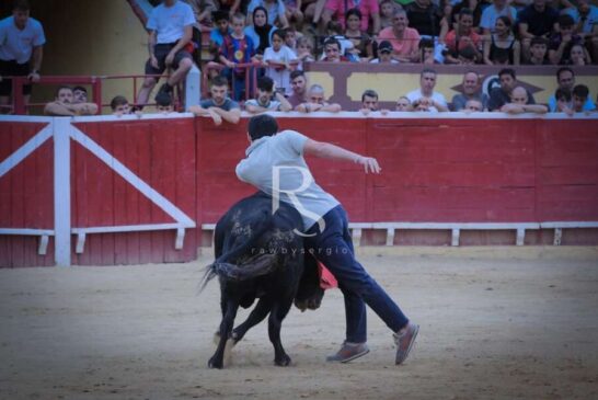 Nabil y Picador, toreo del bueno en Lodosa