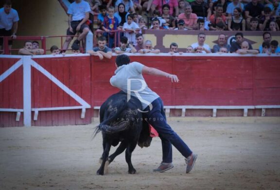 Nabil y Picador, toreo del bueno en Lodosa