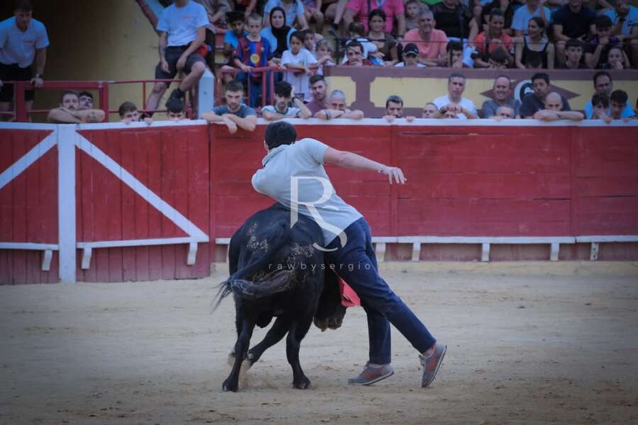 Nabil y Picador, toreo del bueno en Lodosa